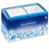 EXHIBIDOR P/HELADO GOODWEATHER HORI GW-268SD 268L